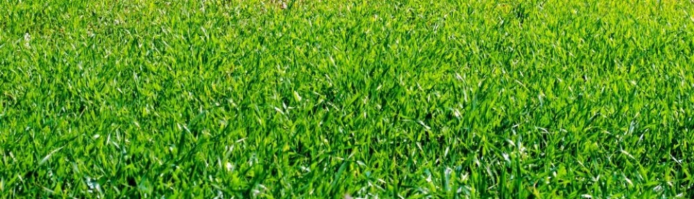 Μαρία Κορόγιαννη PT, MSc                       Φυσικοθεραπεία & Ευεξία