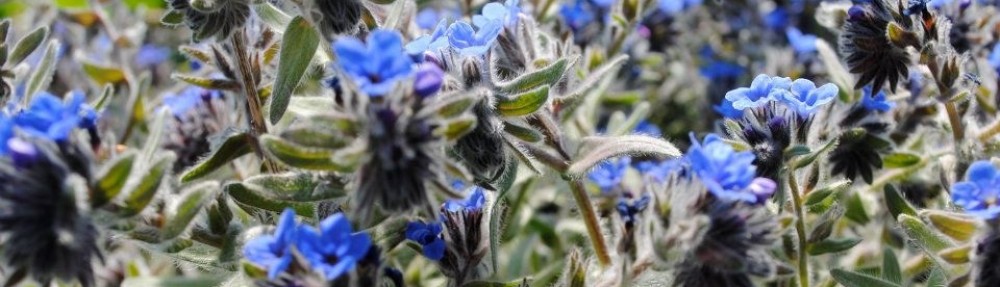 Μαρία Κορόγιαννη PT, MSc                       Φυσικοθεραπεία & Ευεξία