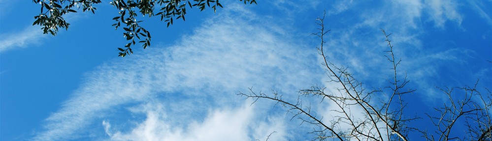 Μαρία Κορόγιαννη PT, MSc                       Φυσικοθεραπεία & Ευεξία