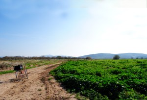 'Ποδηλατάδα' στην εξοχή Μεγάρων - φοτο: Μαρία Κορόγιαννη